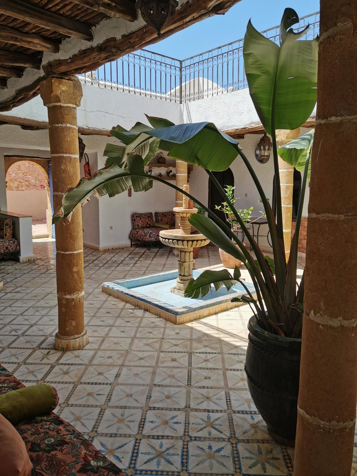 Riad Eucalyptus As-Sawíra Exteriér fotografie