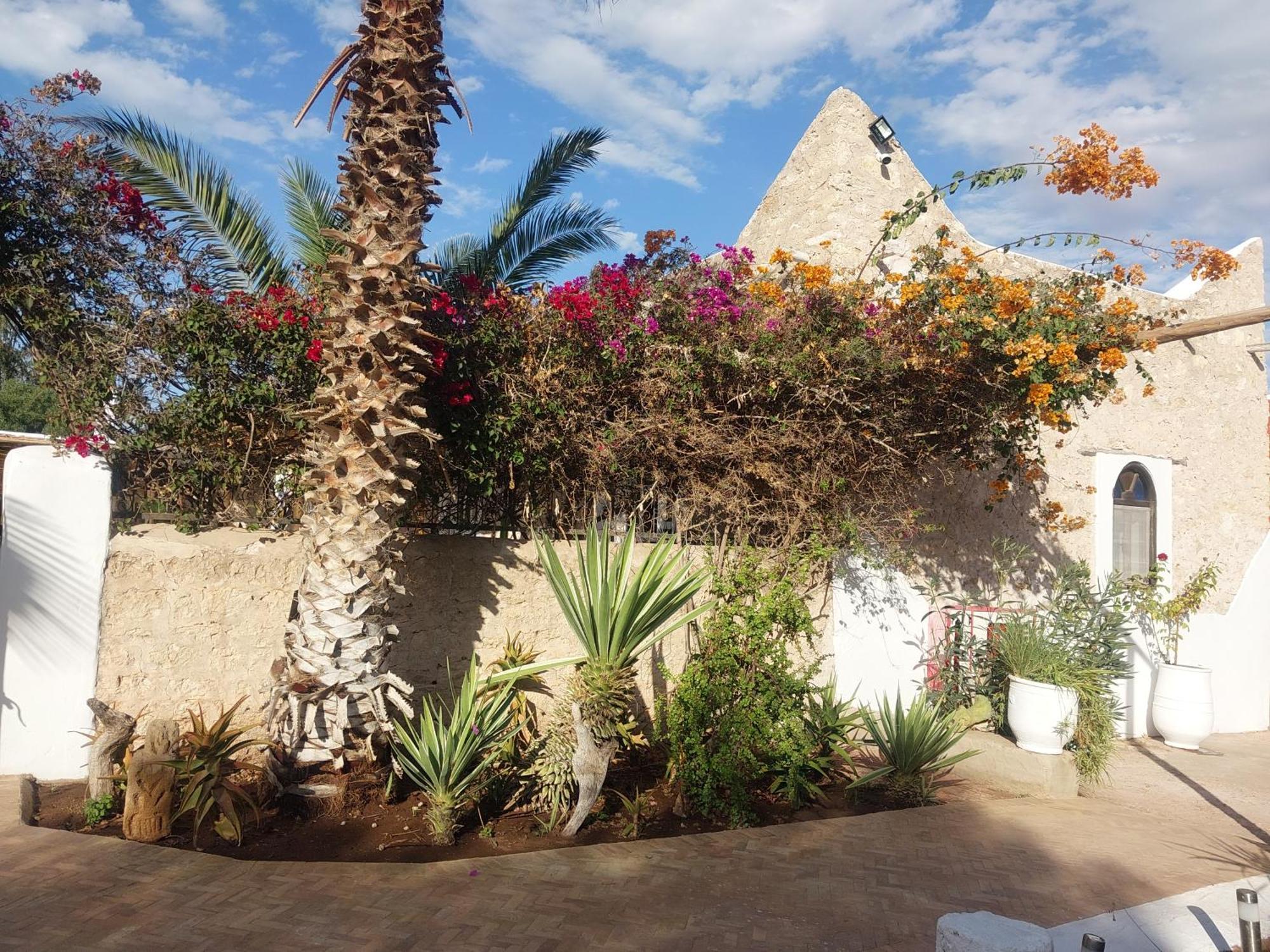Riad Eucalyptus As-Sawíra Exteriér fotografie