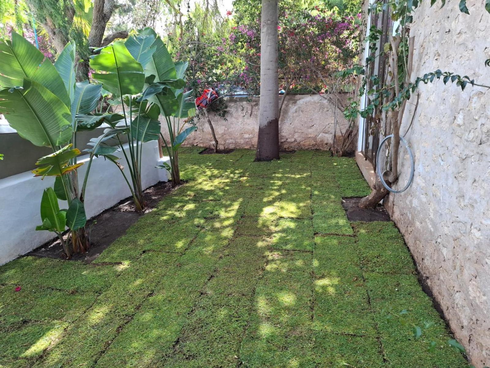 Riad Eucalyptus As-Sawíra Exteriér fotografie